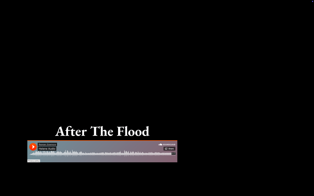 Hurricane Helene Multimedia&nbsp;Story